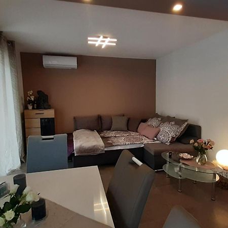 Villa Elke Maria With Overflow Pool And Hydromassage Novigrad  Номер фото